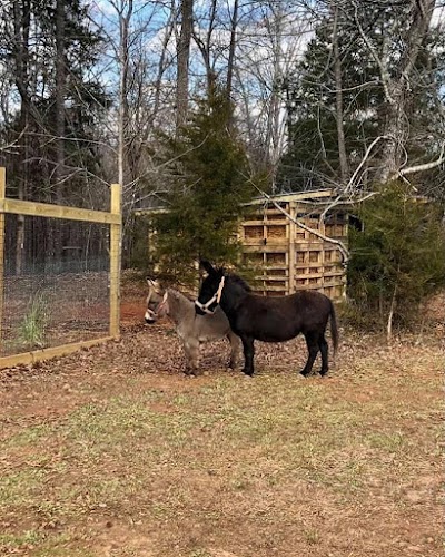 Barefoot Acres