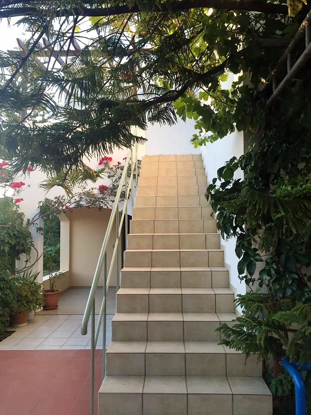 Oleander Apartments
