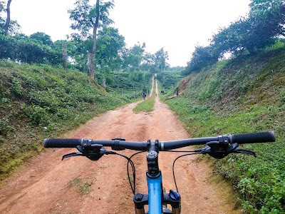 Photos of Lalchand Tea Estate