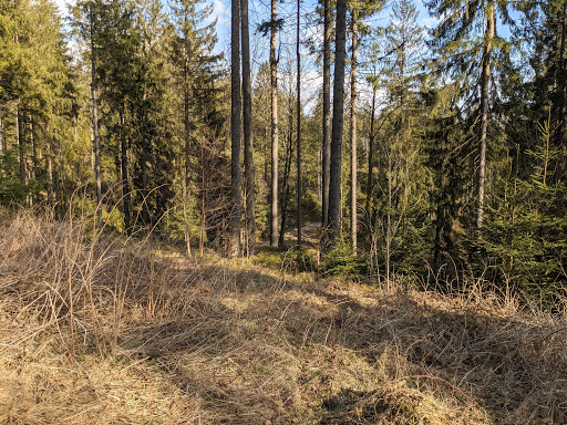 Steinachruh - Visual