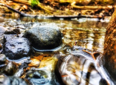 Photos of Oxford Community Park
