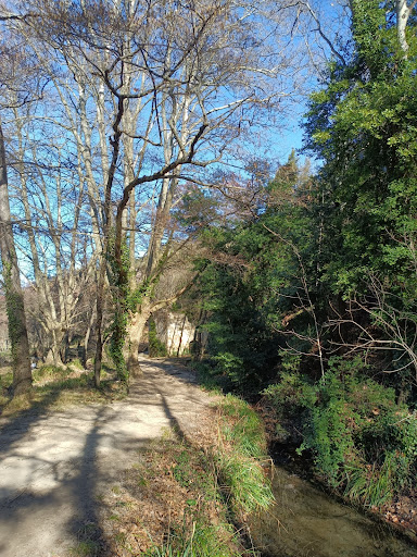 Le Moulin de Tournal - Thumbnail