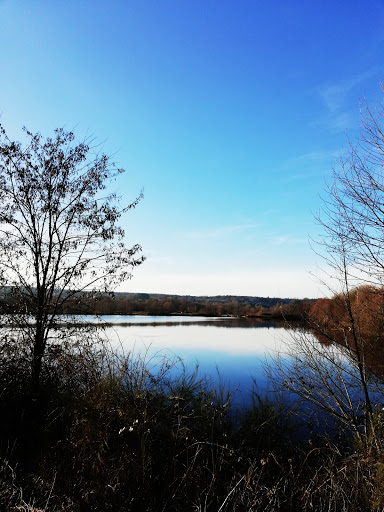 Town De Vaxoncourt - Thumbnail