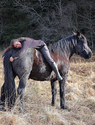 Photo n°43 de Les Chevaux de Capucine à Doranges (Centre de randonnée équestre)