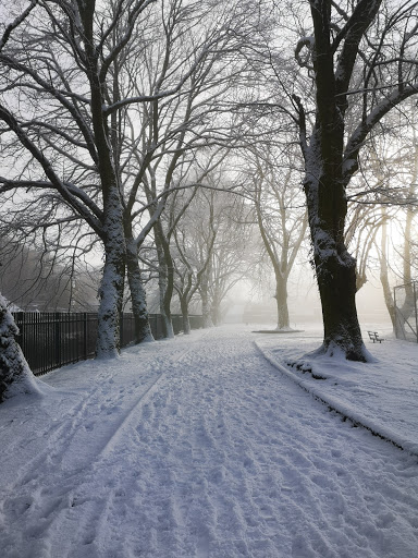 Treherbert Park - Thumbnail