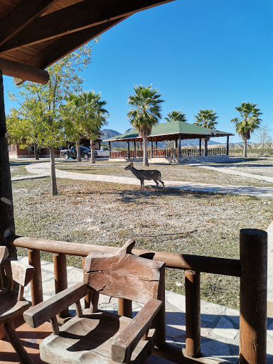 Ecoturistico De Coahuila