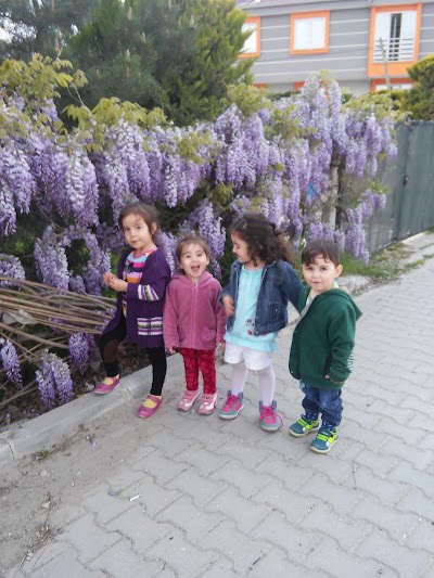 Photos of Elwan