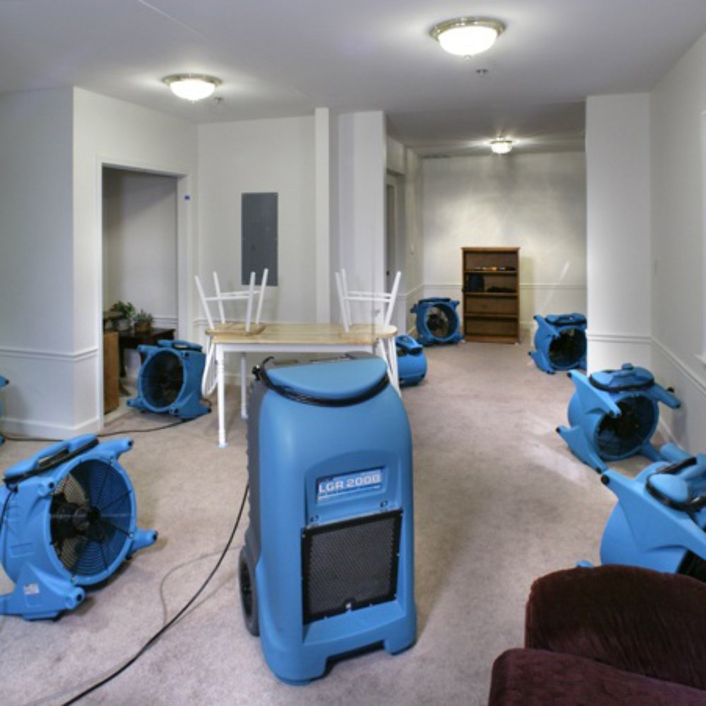 Integrity Restoration photo