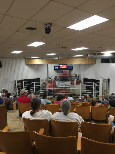 Collinsville Livestock Sales - Thumbnail