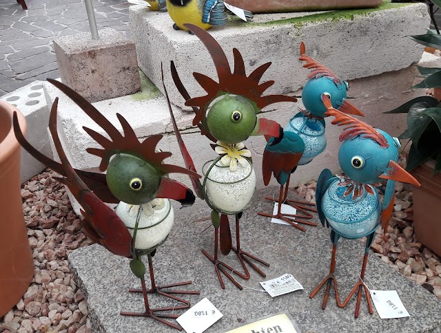 Orchideen Netzer & Café Orchidee