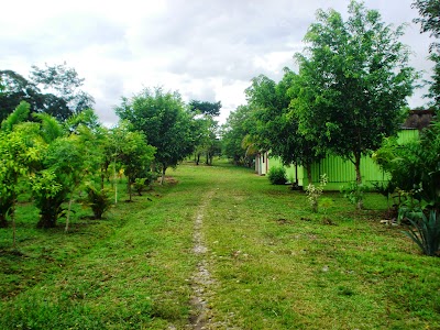 Photos of ICTA Central Farm