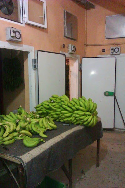 Photos of Banane 3 Hermanos "B.3.H"