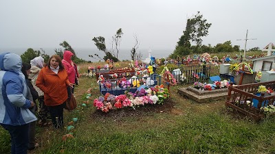 Photos of Isla Puluqui