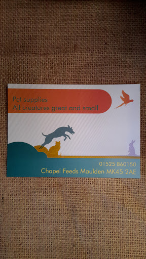 Chapel Feeds - Thumbnail