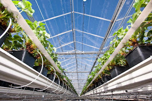 Photo n°3 de AQUADOC Irrigation Pompage à Saint-Thibéry (Siège social)