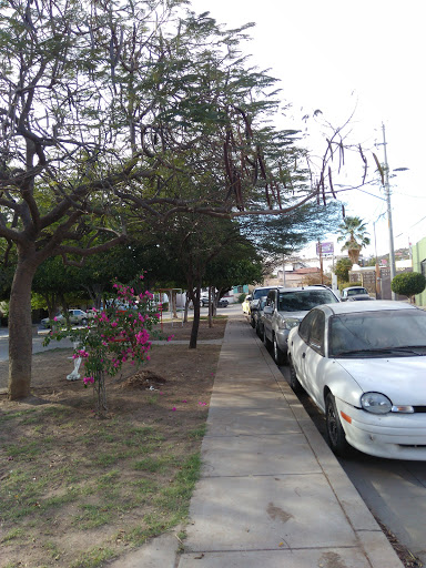 Privada Texcoco Park - Thumbnail
