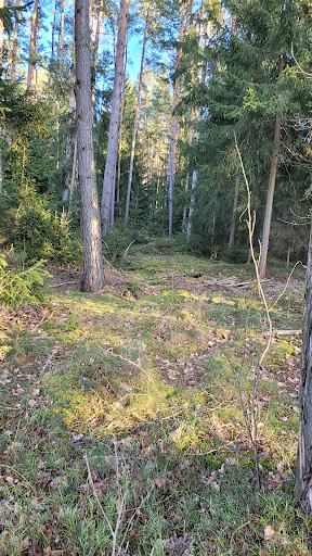 Schwemmteiche - Visual