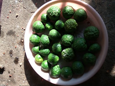 Photos of Sambel Pecel Asli Madiun Bu Wartini