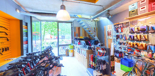 Bikes & Boards