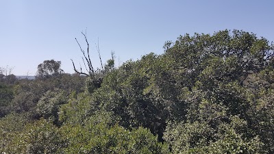 Photos of Ngare Dare Forest