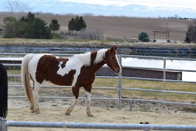 Idaho Youth Ranch Hands of Promise Campus