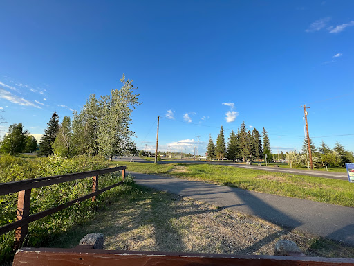 Chena Riverwalk - Visual