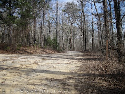 Photos of Gum Pond Trailhead