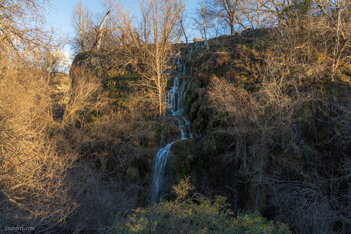 Gorman Falls - Visual