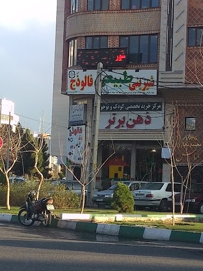 Photos of شیرینی طبیعی فالوذج