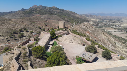 Torre Alfonsina - Thumbnail