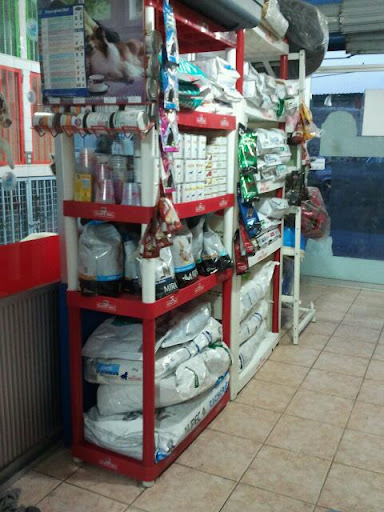 Pet_Shop Tepepan Clínica Veterinaria - Thumbnail