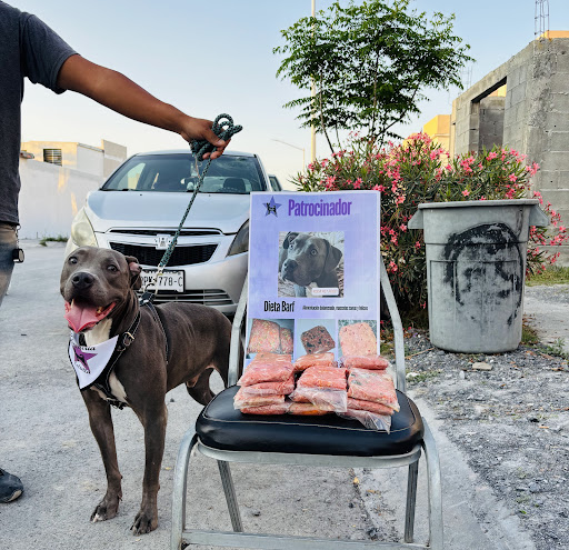 Veterinaria y Hospedaje Estrella
