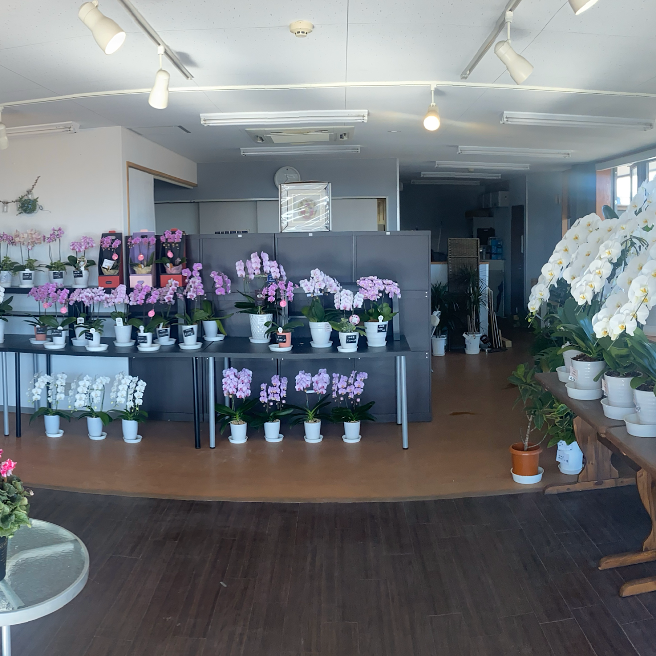 花工房 エーデルワイス 花屋