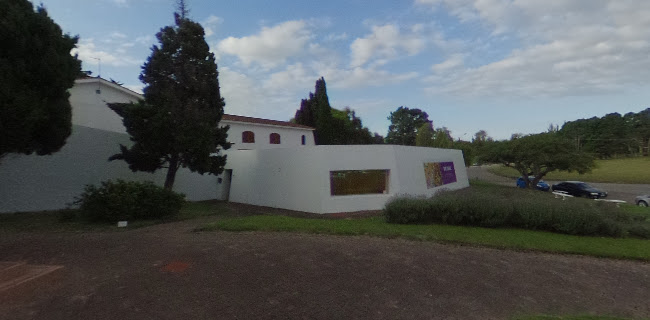 Museo Ralli - Museo