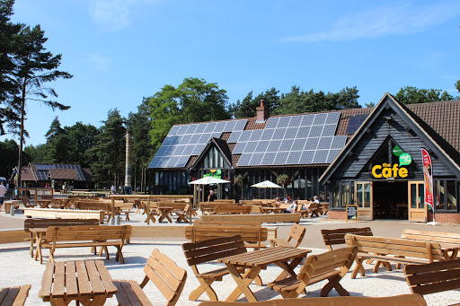 Go Ape Thetford Thetford Destimap Destinations On Map