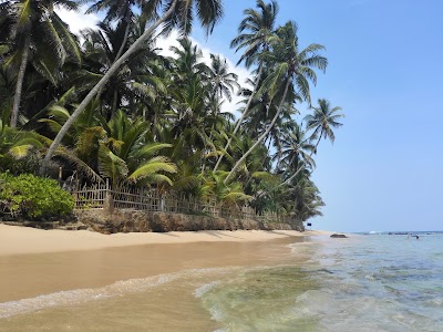 Photos of Turtle Beach