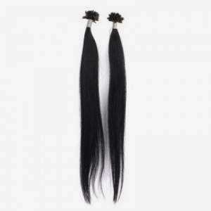 Virgin Manes - Visual