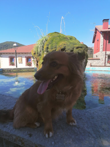 Prioro - Visual