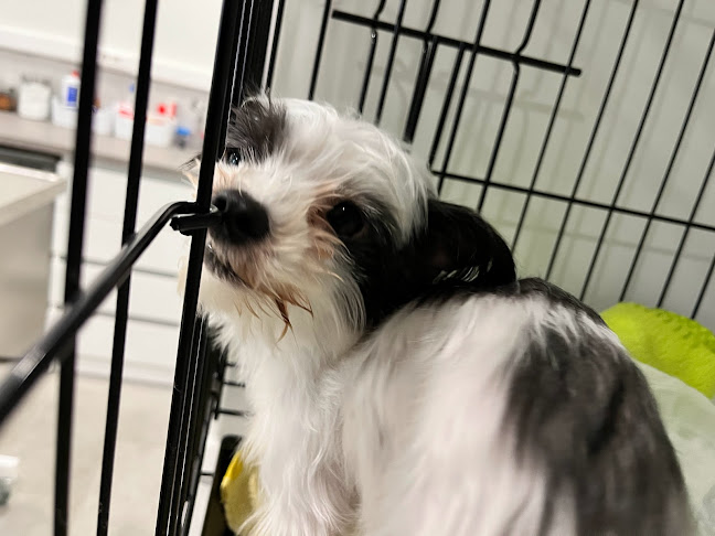 Κυκλάδων 1, Μελίσσια 151 27