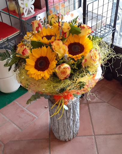 Fiori E Piante Mondoverde