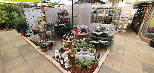 LE P'TIT JARDINIER