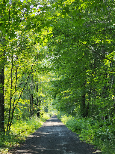 Three Mile Bay Wildlife Management Area - Thumbnail