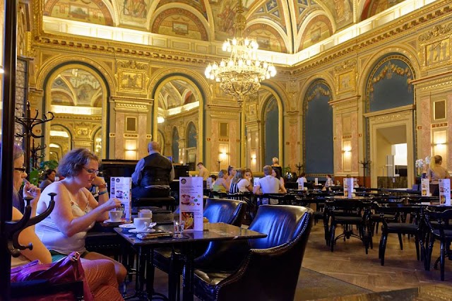 Book Café - Lotz Hall