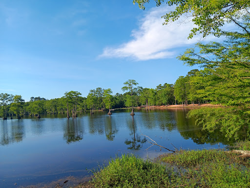Red Bluff Fishery - United States