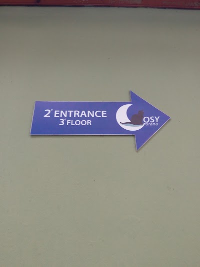 Photos of Cosy Hostel Tirana