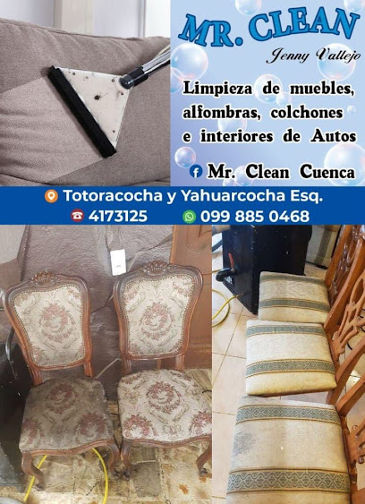 Mr. Clean Cuenca, Azuay y Cañar (Servicio de limpieza y desinfección de todo tipo de tapizado)