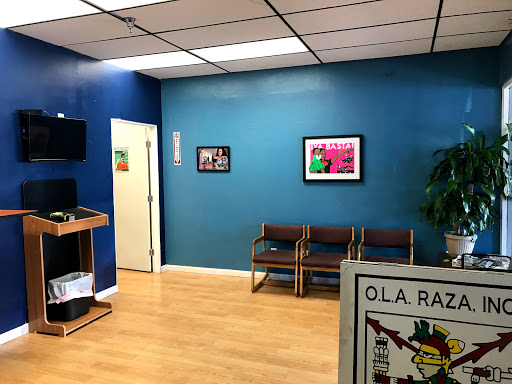 O.L.A. Raza Inc