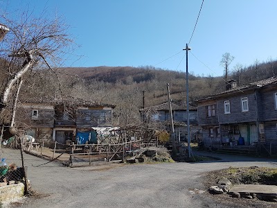 park