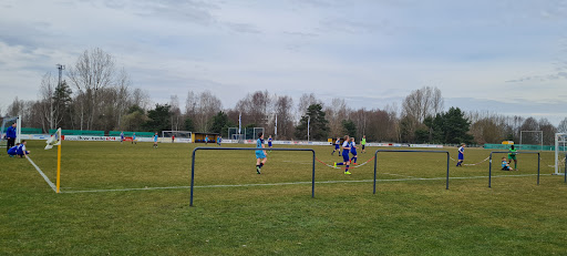 Oberschule Peitzer Land - Thumbnail