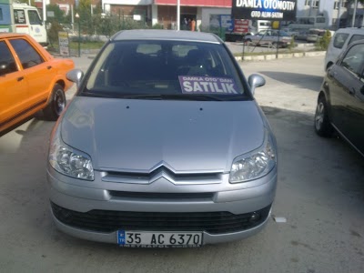 car-rental